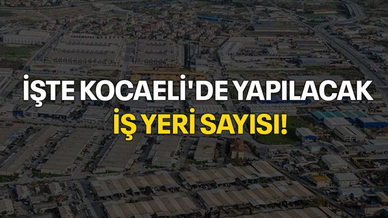 İşte Kocaeli'de yapılacak iş yeri sayısı!